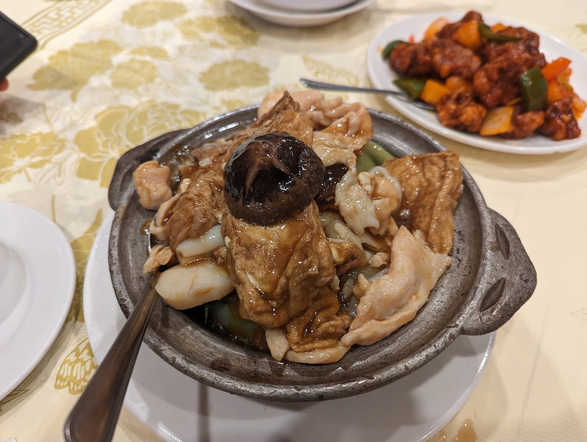 Hot Plate